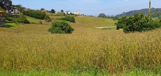 Terrain résidentiel à Valdés. Venta de parcela de 1379 m2, edificable para vivienda unifamilia