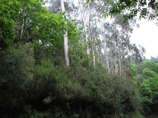 Terreno residenziale in Valdés