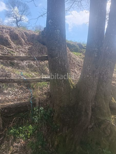 Foto 6e538a4c-2581-454d-ad64-9bf46e107c1a. Finca rústica a Tineo