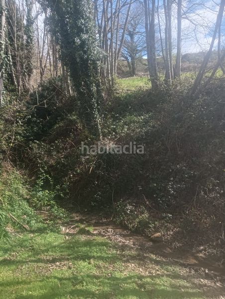 Foto 8d217fa4-c2f5-425a-83d8-7cb6447efb61. Finca rústica a Tineo