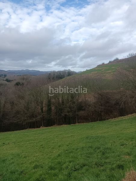 Foto c601f23f-8f0a-4d89-9160-f646e193a92e. Finca rústica a Tineo