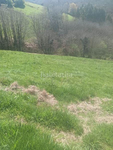 Foto ccb27a0d-3084-4f57-9b25-8675616c46dc. Finca rústica a Tineo