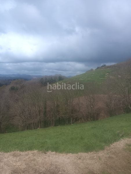 Foto d702efc7-39a0-42f3-b437-0e7ba8396760. Finca rústica a Tineo