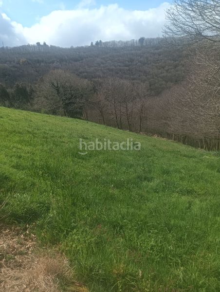 Foto ddce06d3-2fd7-4c19-89c6-c3b4af7e4a9b. Finca rústica a Tineo