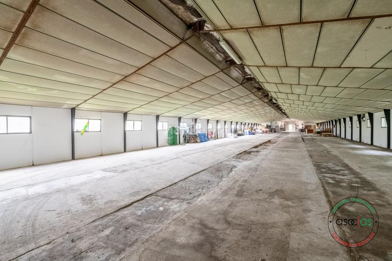 Foto 77ef65d1-d260-4c43-98ca-f250f32ac3d1. Alquiler nave industrial a 10 minutos de gijon, en Vega nave en alquiler con finca en Gijón