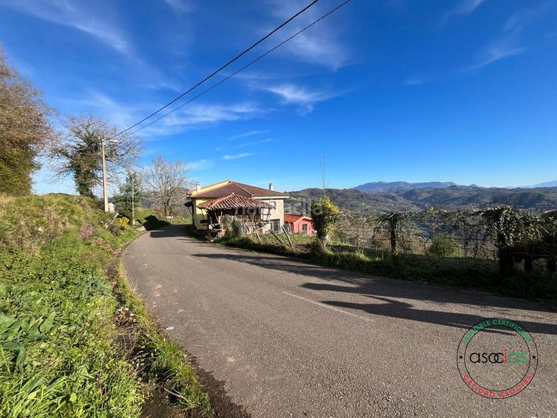 Foto 8071c5a5-6eb8-467d-8469-dbce3549c127. Finca rústica a Cabranes - arboleya s/n a Cabranes