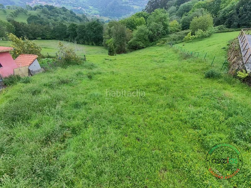 Foto 9519cb73-9b07-4159-a817-c971f8173a21. Finca rústica a Cabranes - arboleya s/n a Cabranes