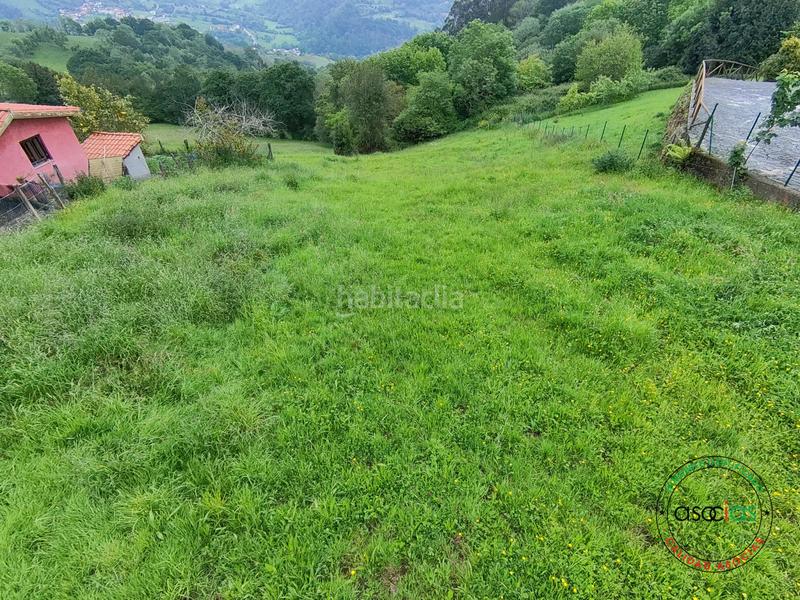 Foto 9ca8b51f-bca4-4ad9-b7aa-f0c99eebb793. Wohngrundstück in Cabranes - arboleya s/n in Cabranes