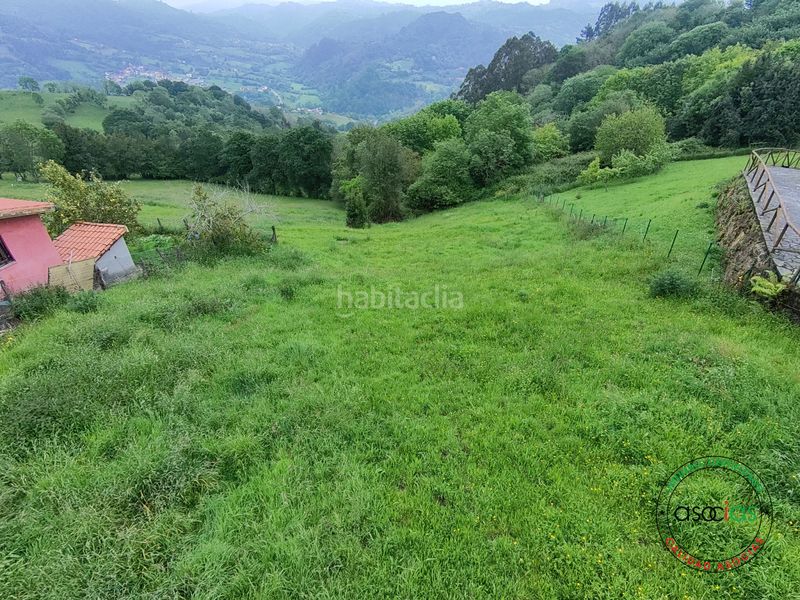 Foto cdf2baf1-666b-4520-a0ca-eab66cccee45. Finca rústica a Cabranes - arboleya s/n a Cabranes