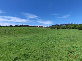 Terreno residencial en Cr de gallinal 203. Finca edificable en gijon en la zona de serín parcelable para co