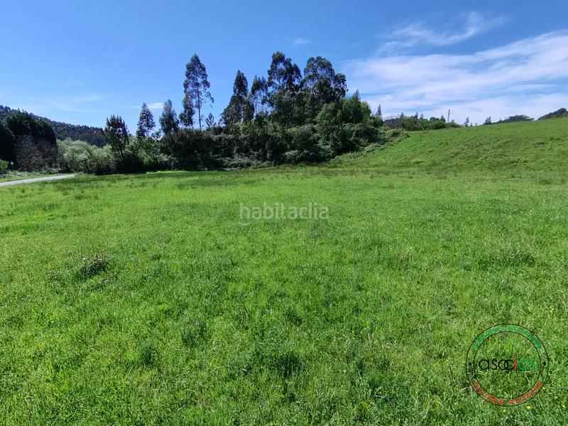 Foto 75484090-6bc5-450f-9887-c15e88cb4a4f. Terreno residenziale in cr de gallinal 203 in Sierín Gijón