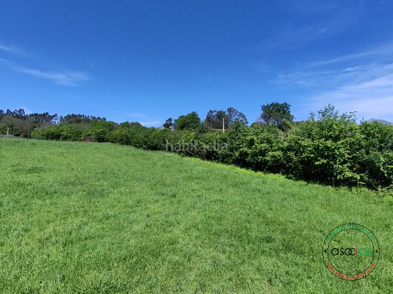 Foto 94abc824-950a-420f-adae-260d8f4aaa20. Terreno residenziale in cr de gallinal 203 in Sierín Gijón