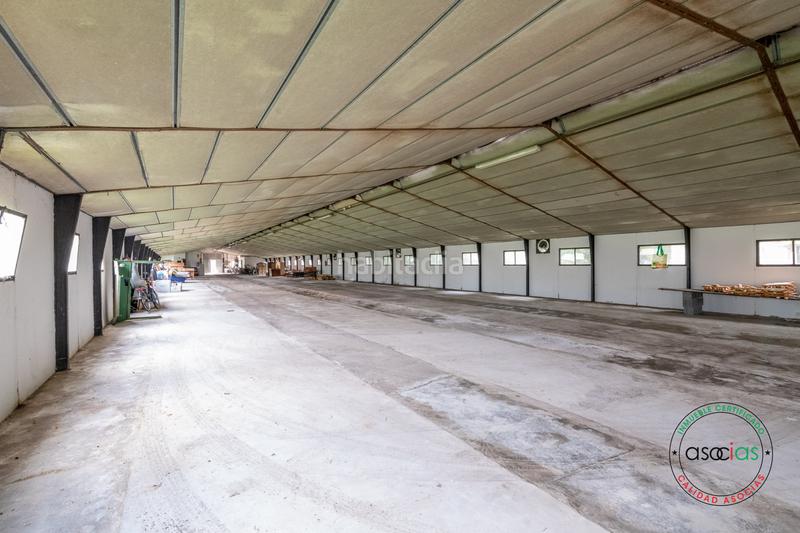 Foto a44acfb3-6668-4d1b-8c31-b387f615b235. Nave industrial en Vega, nave en venta con finca de 7548m en Gijón