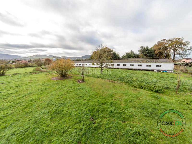 Foto c42eebe1-b378-45e9-9bea-9f39cb9ccd8a. Nave industrial en Vega, nave en venta con finca de 7548m en Gijón
