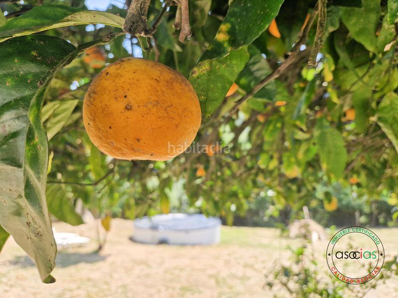 Foto 511f39b6-634d-4ffd-a5dd-24014e5f3822. Residential plot in Cenero Gijón