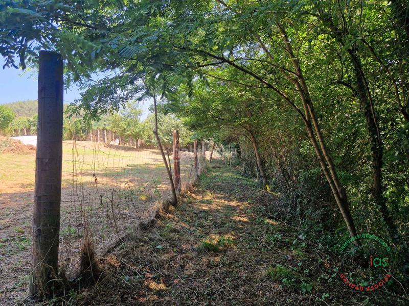 Foto 9b808f59-cd47-4a41-96ae-5e726751e3c2. Residential plot in Cenero Gijón