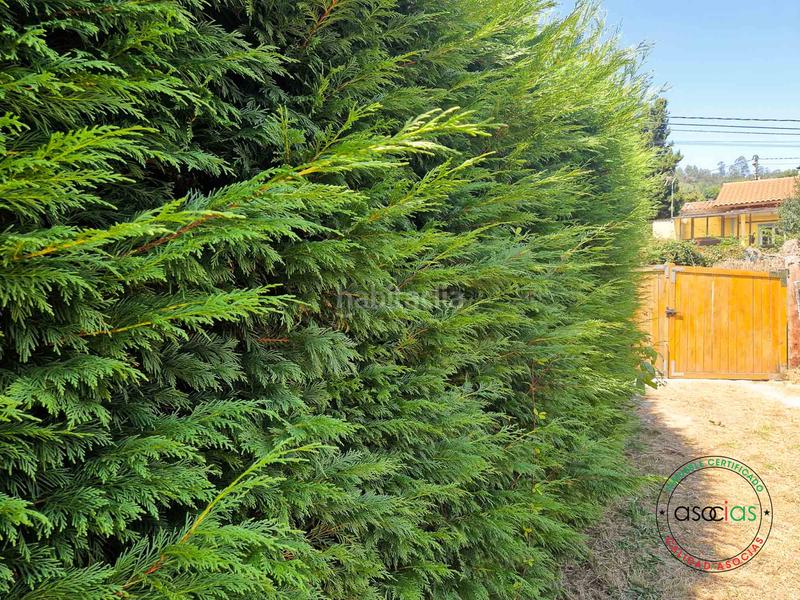 Foto db441824-3507-4b72-8273-b4d07636d506. Residential plot in Cenero Gijón