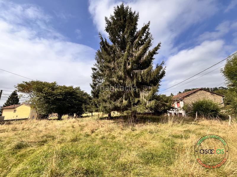 Foto b259fa98-c1a0-4660-b04b-48bc59349341. Casa pareada casa de dos plantas para rehabilitar con finca edificable independiente en Siero