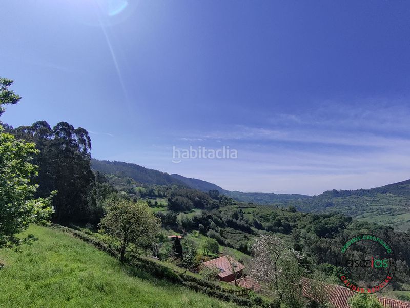 Foto 10eff8af-b122-406f-b5d3-3d6b67b2a40e. Terreny residencial a Caldones Gijón