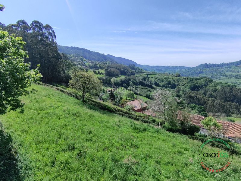 Foto 2291ce0d-73cb-4e12-9c5c-9aff577ffc51. Terreny residencial a Caldones Gijón