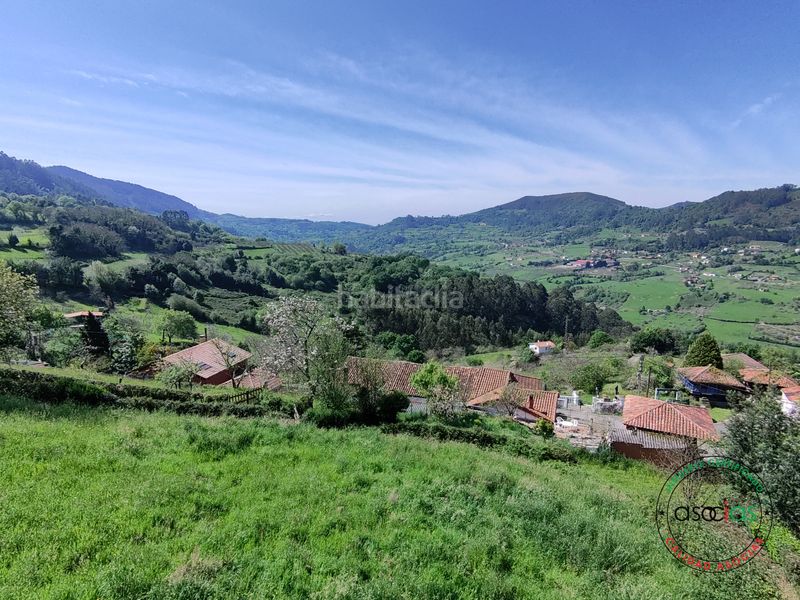 Foto 3e9c0879-ade9-4aaf-8fd7-065d2fb2f70b. Terreny residencial a Caldones Gijón