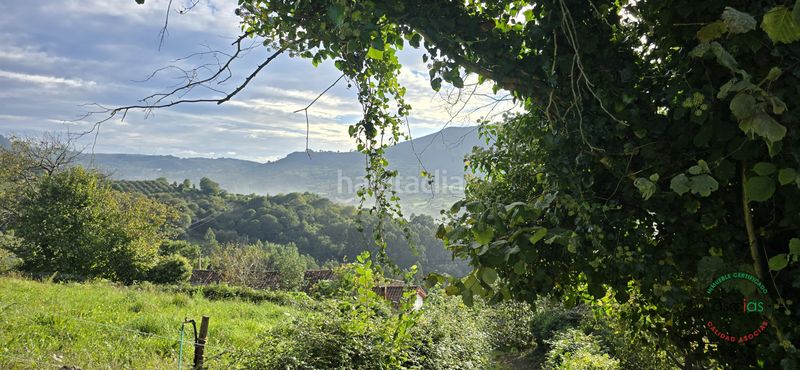 Foto 93bf7ae0-fc18-4ea0-bdc3-f1b20e31641d. Terreny residencial a Caldones Gijón
