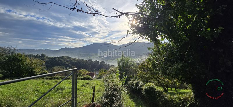 Foto 9866e4ac-799b-47d0-9265-d7ba20917e76. Terreny residencial a Caldones Gijón