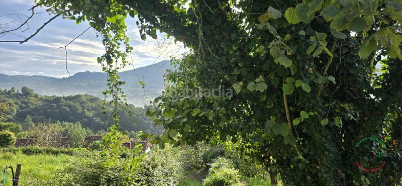 Foto f56b47a9-014f-4cbc-aeb7-ee01956dcd77. Finca rústica a Caldones Gijón