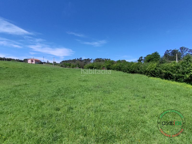 Foto 0a4e6509-25ba-4e81-b5ca-cf69f720e3a2. Finca rústica a cr de gallinal 203 a Sierín Gijón