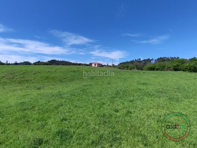 Foto c371c778-54ff-4645-818a-44d72de36611. Finca rústica a cr de gallinal 203 a Sierín Gijón