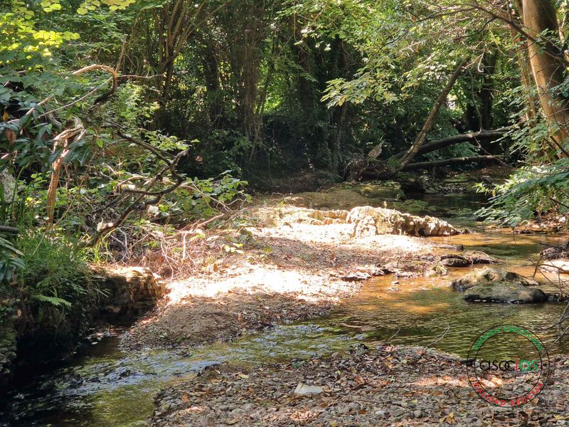 Foto cde220e5-0ae0-49a9-86ad-d39ffba5c1ac. Terreny residencial a Cenero Gijón