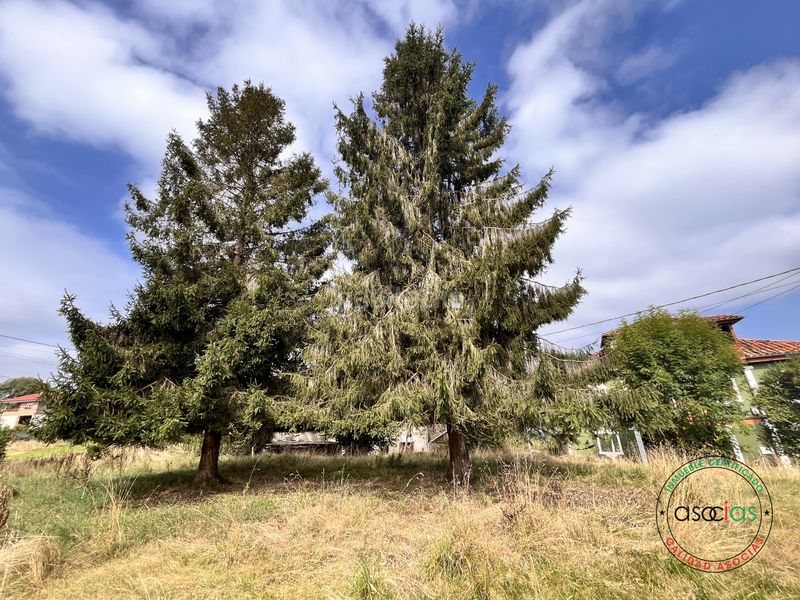 Foto c45601d0-76c6-405f-9f74-f75823a927ca. Casa aparellada a Carbayin-Lieres-Valdesoto Siero