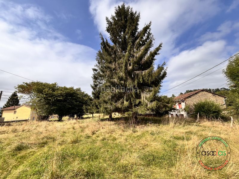 Foto c6607290-cad5-4e2f-af36-8112b7f01c09. Casa aparellada a Carbayin-Lieres-Valdesoto Siero