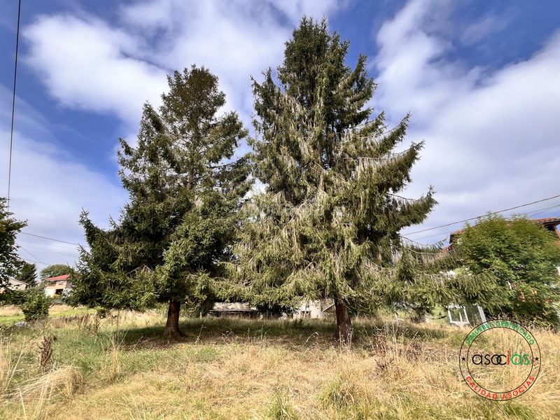 Foto dcd0cb06-5aa6-4d23-89af-a75b865f8e76. Casa aparellada a Carbayin-Lieres-Valdesoto Siero