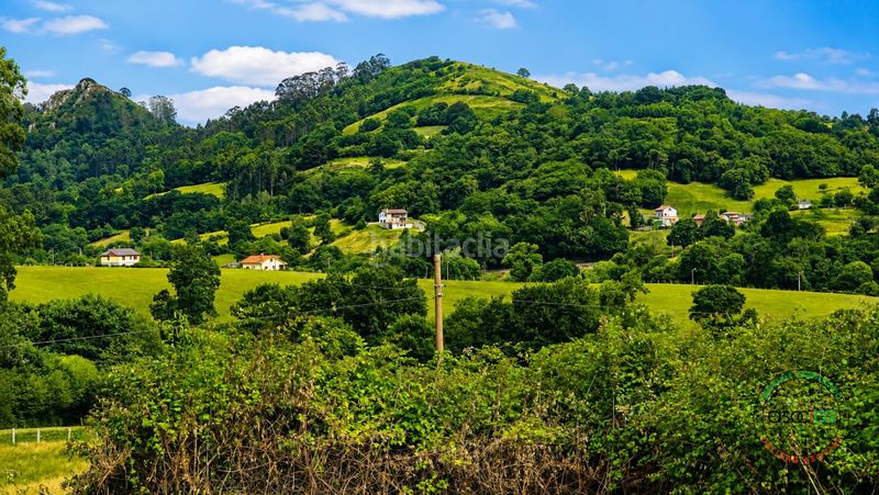 Foto fafbaa5c-4e58-4363-83c2-534e62a3dfa1. Finca rústica a Parroquias Norte Siero