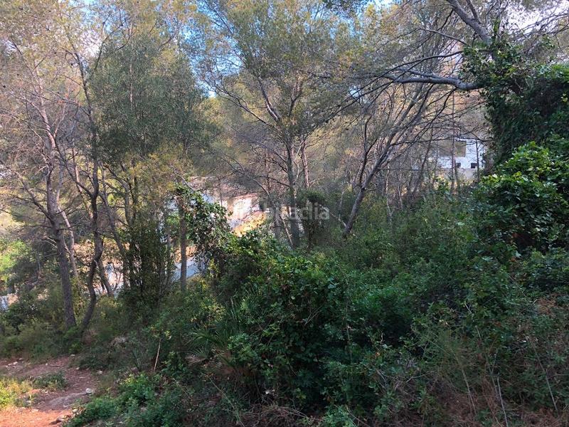 Foto 08cdd436-bab9-4e70-89fe-51f03f8cdda1. Terreny residencial a La Mora Tarragona