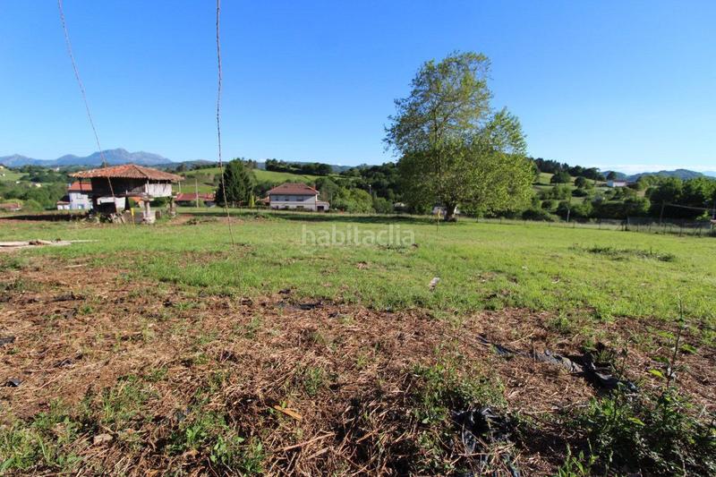 Foto 1ca067d6-adbc-4b78-acd1-07d51a1377af. Terreno residenziale in Parroquias Norte Siero