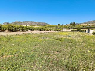 Residential Plot in Pego