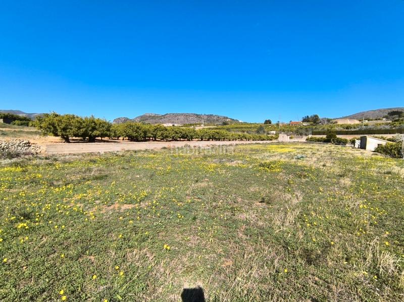 Foto 431b608b-d1f9-4750-9eb1-8ae102daa20d. Terreno residenziale in Pego