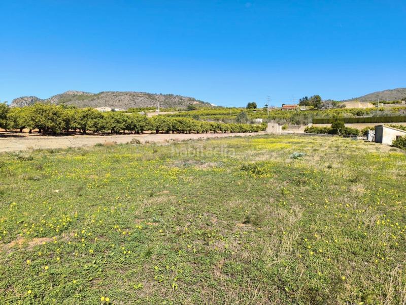 Foto 701682ed-2b0f-4884-8ca3-1680fc0f98ab. Terreno residenziale in Pego