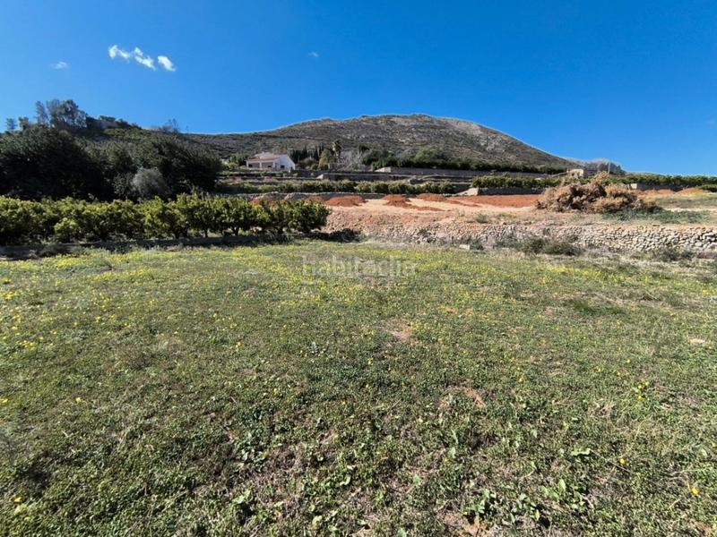 Foto 8731d6d8-f5b1-4e27-af22-7cf7e84a2c8f. Terreno residenziale in Pego