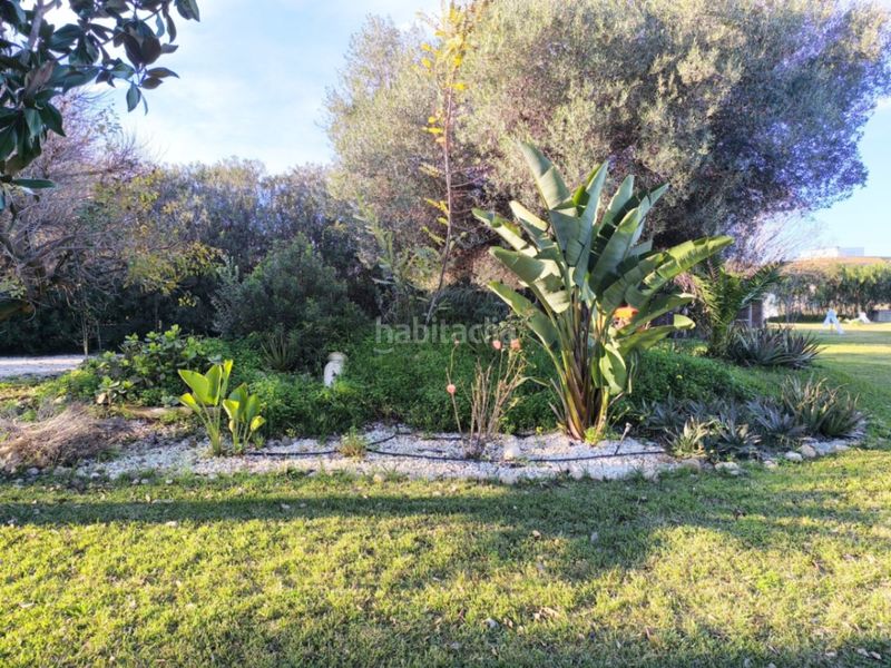 Foto 67b3ac6e-1515-4d51-967e-a9d9bd68a14e. Chalet avec chauffage piscine dans Ondara