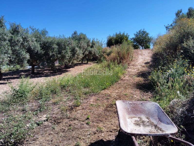 Foto af80d069-e303-494d-b2c0-67dcc7bf2ad6. Casale con riscaldamento parcheggio piscina in Teulada