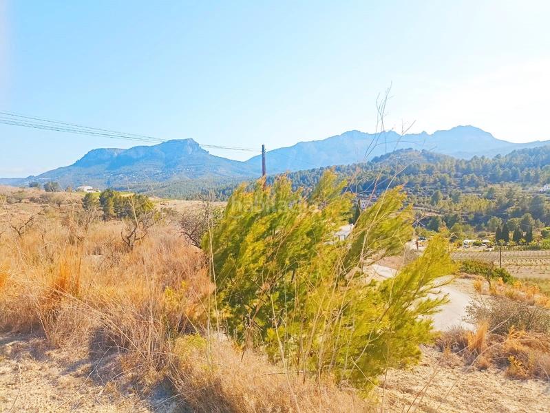 Foto d27dfc9c-865c-4d46-bb97-34da0d5d66d7. Terrain résidentiel dans Benissa pueblo Benissa