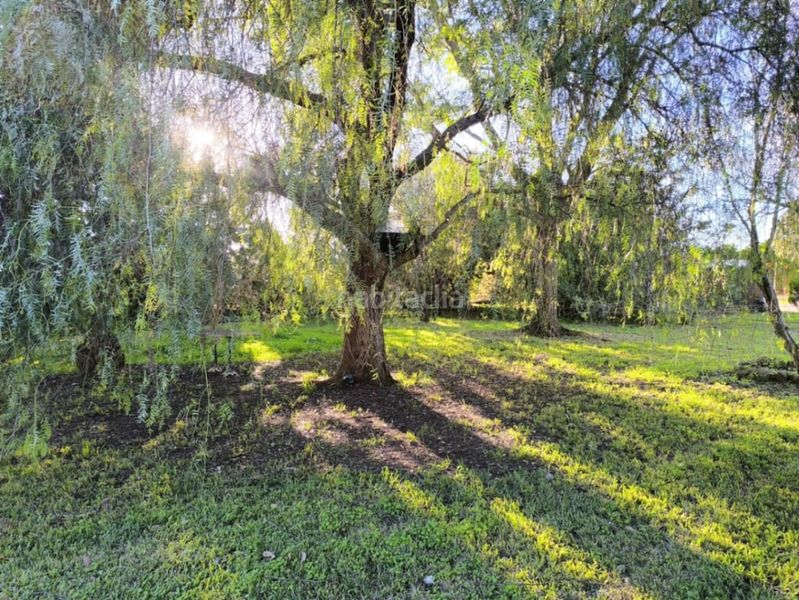 Foto 698c8f23-0dec-4e09-8b66-48547bfb7778. Casa amb piscina a Ondara