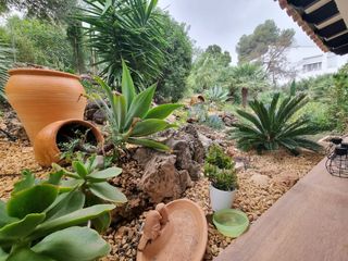 Casa a los olivos 7