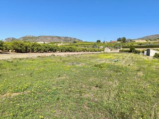 Terreno residencial en Partida Pujol 8