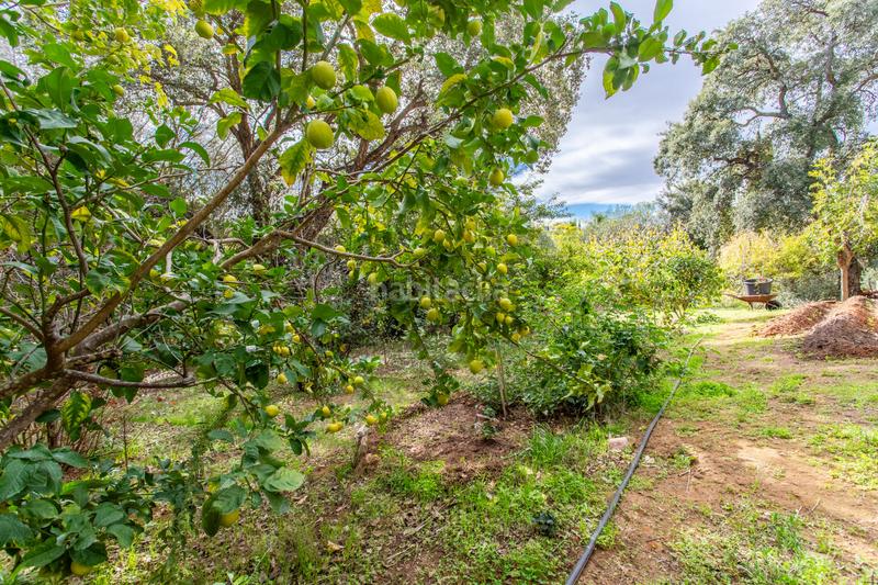 Foto 1c31406e-bf17-439d-a0bf-15d7ac65044e. Maison avec chauffage parking piscine dans Sotogrande alto Sotogrande