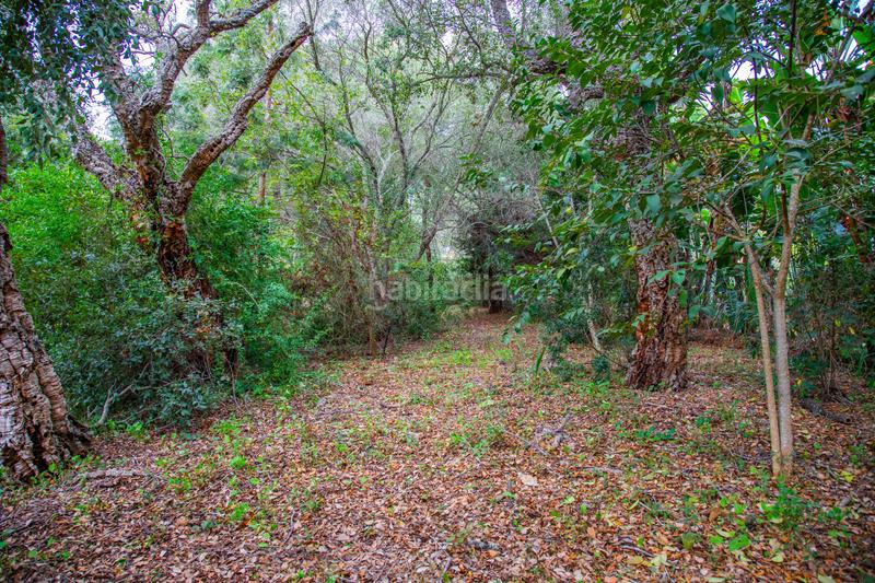 Foto 88181a7e-2c23-43bc-89c5-212ba9e819dd. Maison avec chauffage parking piscine dans Sotogrande alto Sotogrande