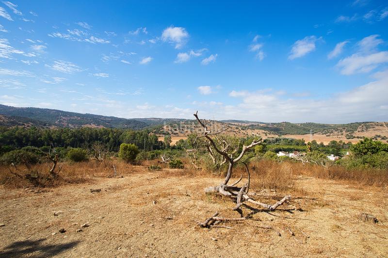 Foto 45d4eadb-ff77-49cc-a1ad-1280bff4c570. Haus mit parking in San Martín del Tesorillo